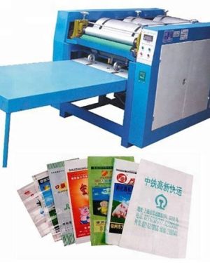 Bag to Bag Printing Machine